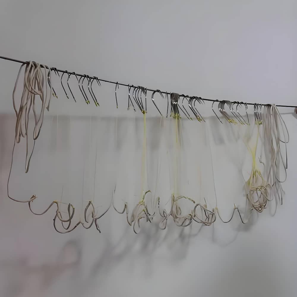 水上救生滾鉤，緊急救援中的隱形英雄